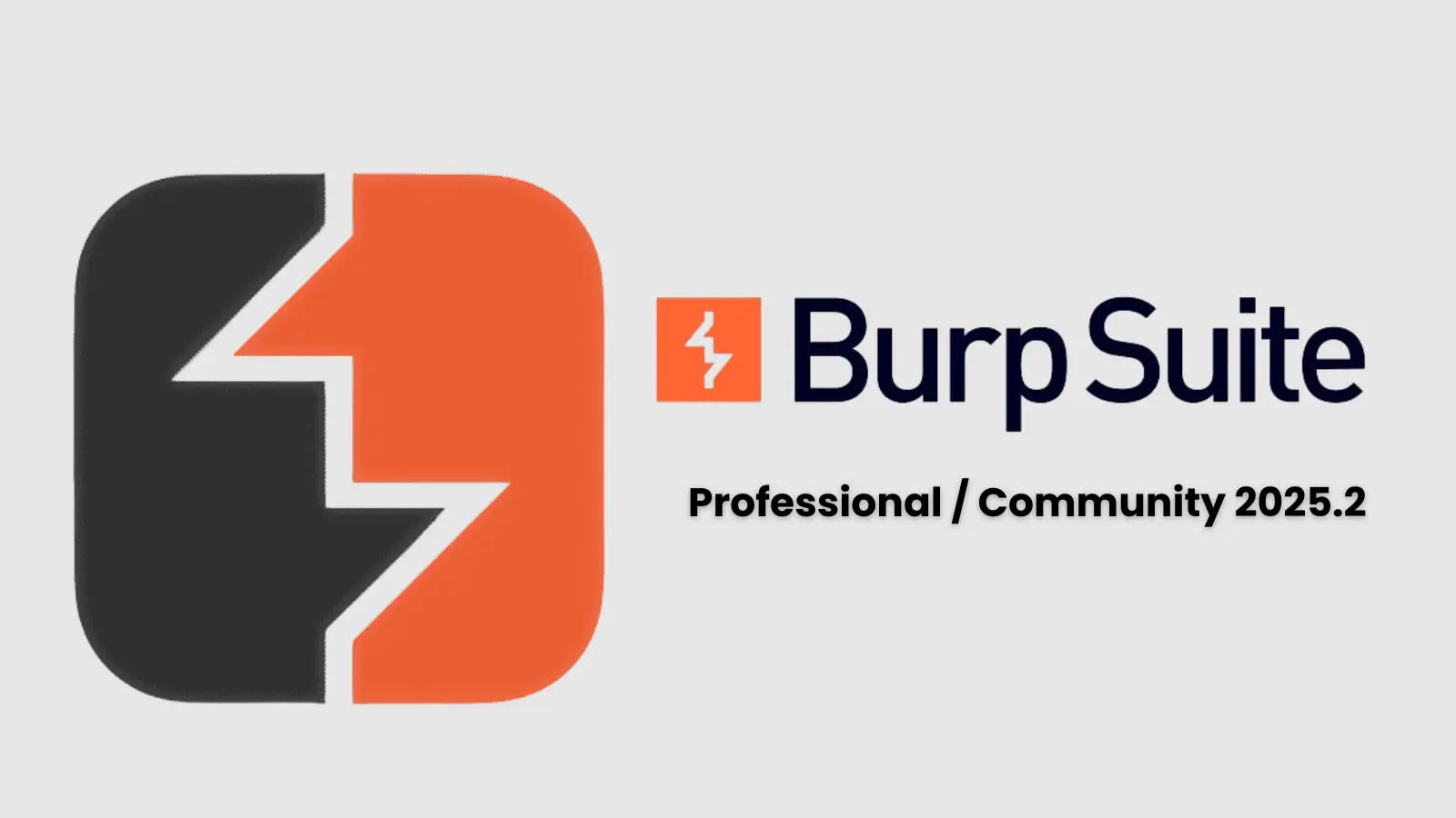 Burp Suite Professiona 2025.4.4：渗透测试的利器